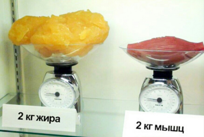 Цену забыли написать... ладно на кассе узнаю.