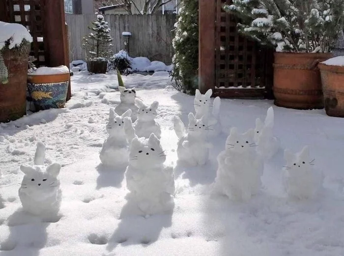 They'll leave in the spring - themselves - cat, Snow, Statue, Pet the cat, Snow figures