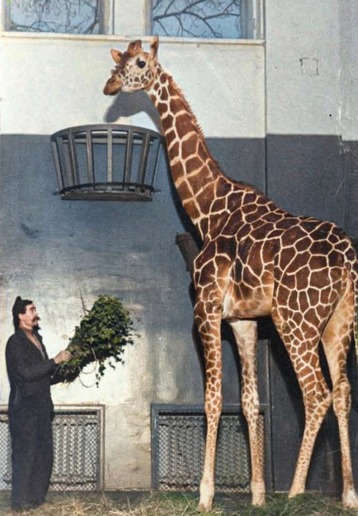 Жизнь Советской Москвы в 30-е годы. 20 раскрашенных фотографий. Часть II Москва, Столица, СССР, 1930-е, Фотография, Историческое фото, История города, Колоризация, Длиннопост