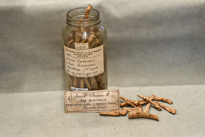    1 .      . 1923 .     .