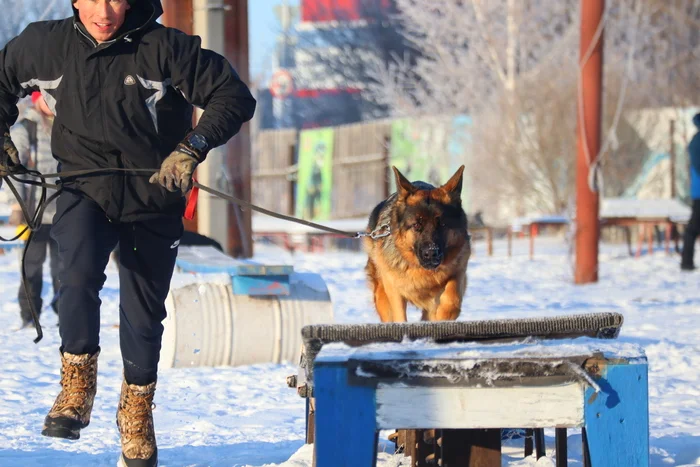 Dog training in Omsk - OCSSSS - Dog, Puppies, Omsk, Training, Г“Г±Г±Г±, Friend, Care, Kindness, Dog breeding, Friends