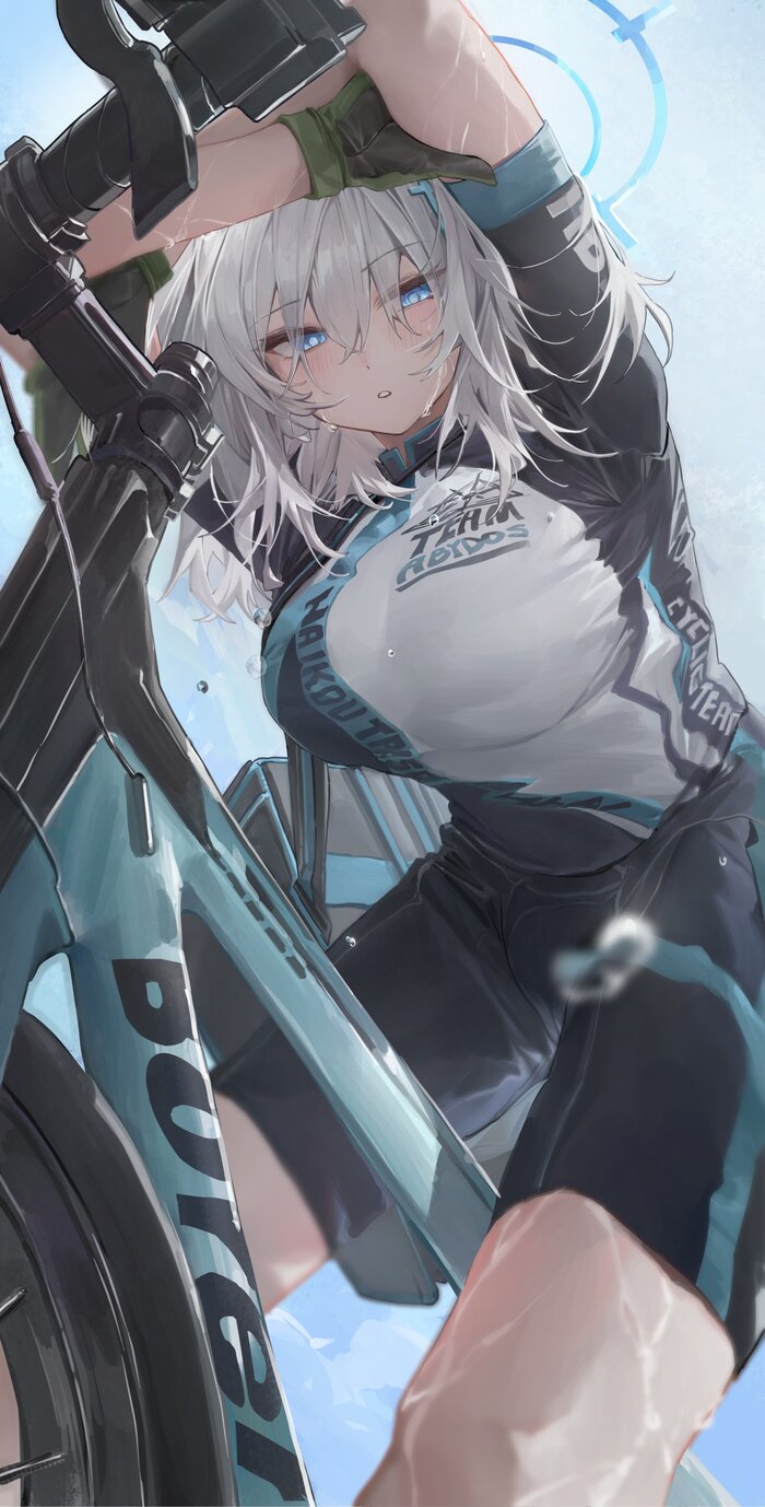   Anime Art, , , , Blue Archive, Sunaookami Shiroko, Animal Ears, , , 
