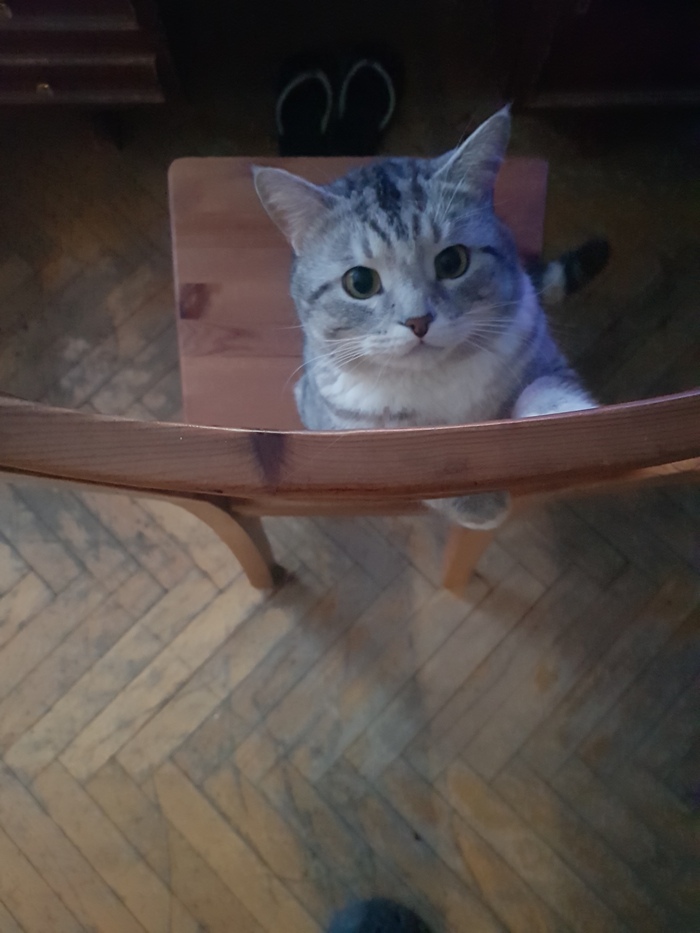  ,      , , 