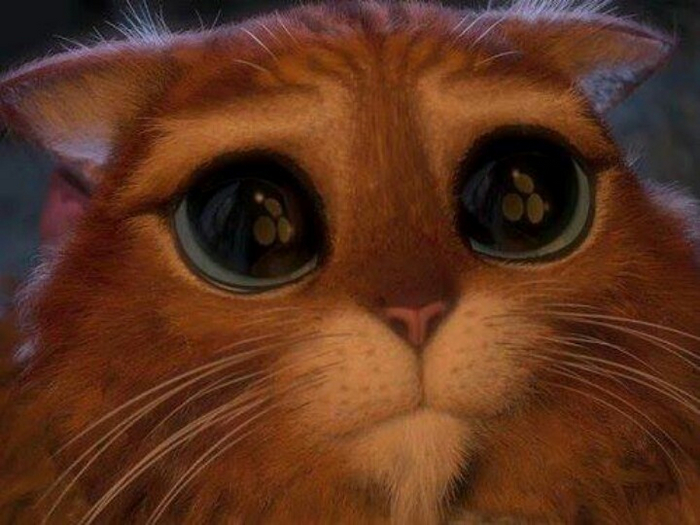 ����� ������� � �������, ����� ��� �������, ���������, ���� ������� �����. ��� ��������.