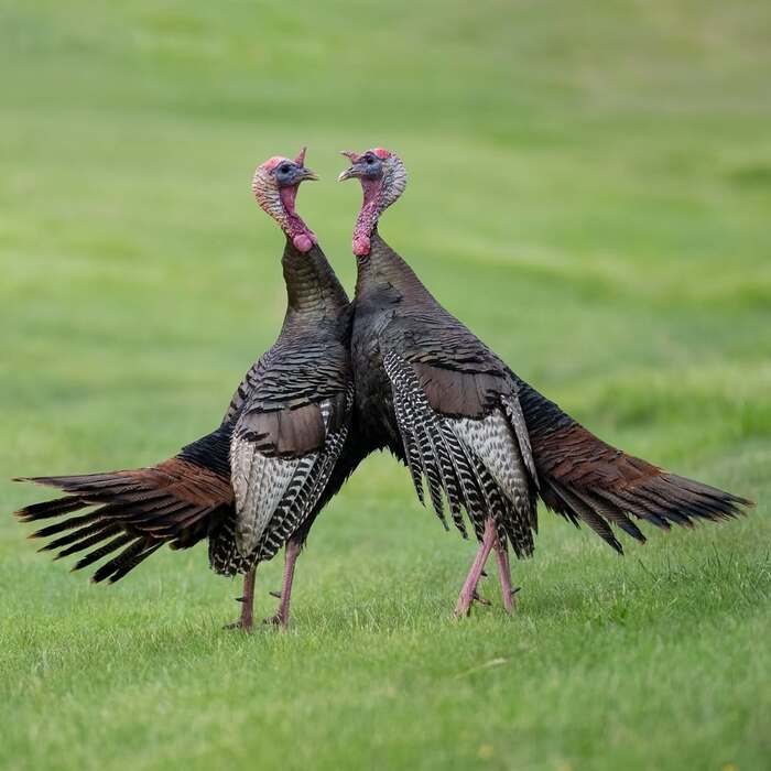 - Ты кто такой?