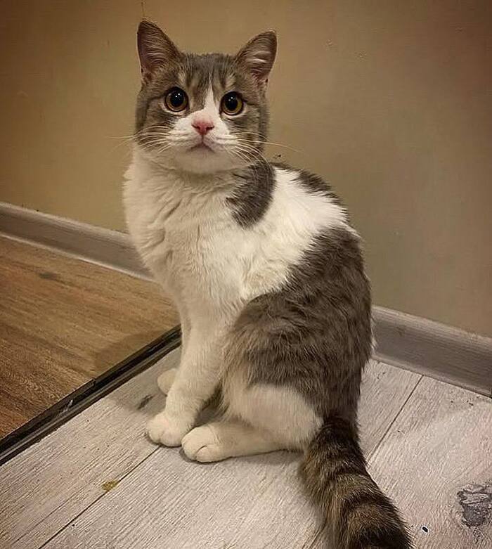 ������� ��� ���� ���� ����� !