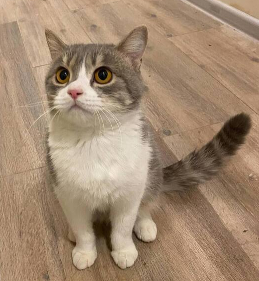 ������� ��� ���� ���� ����� !