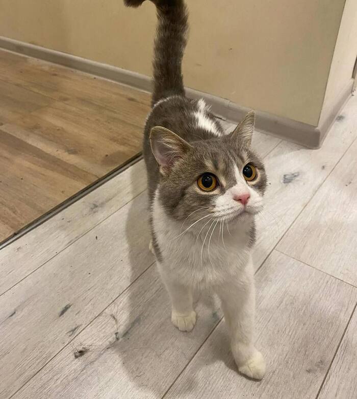 ������� ��� ���� ���� ����� !