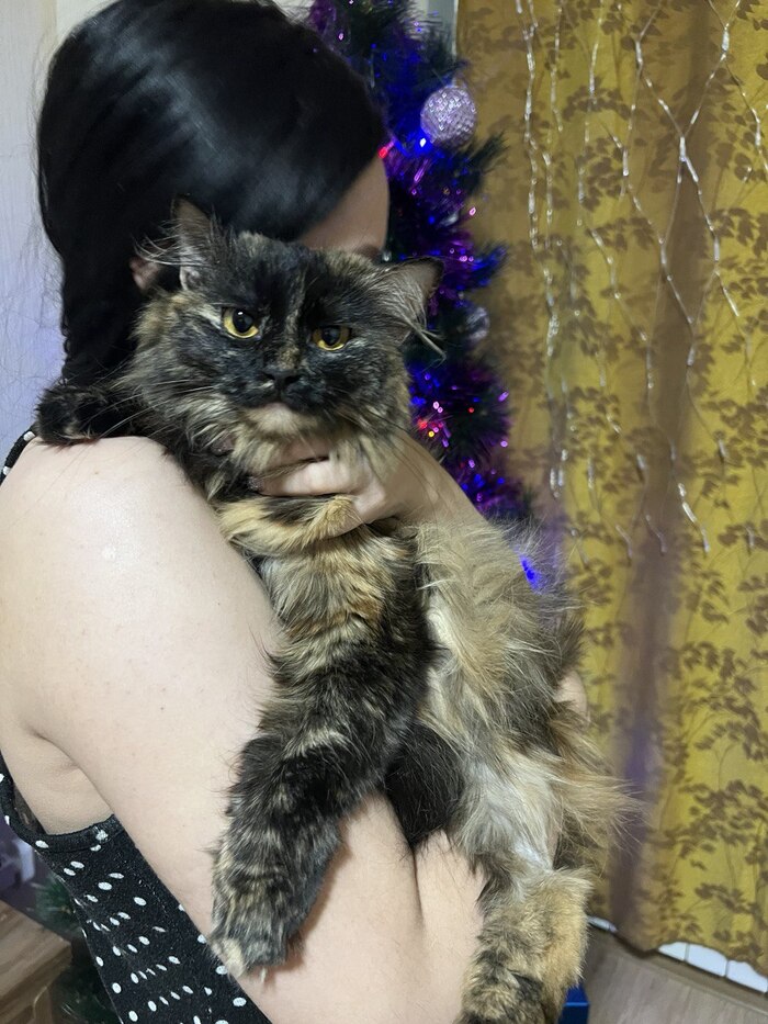 ���������� ����������