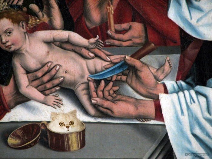 � ����������