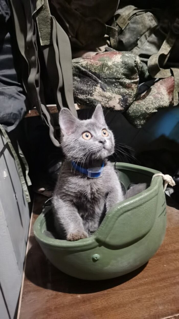 ���� �����. �� ����� ������ �����!