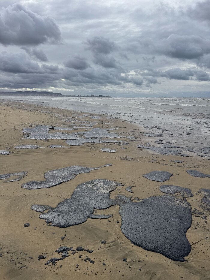 Хьюстон, у нас проблемы! Ищу контакты волонтерских органиций в Анапе