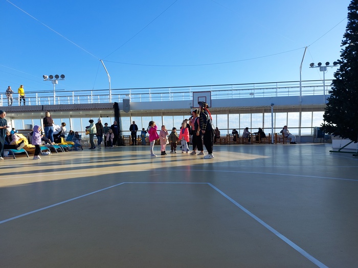 В Стамбул, туда и обратно по морю Круизные лайнеры, Турция, Семейный отдых, Длиннопост