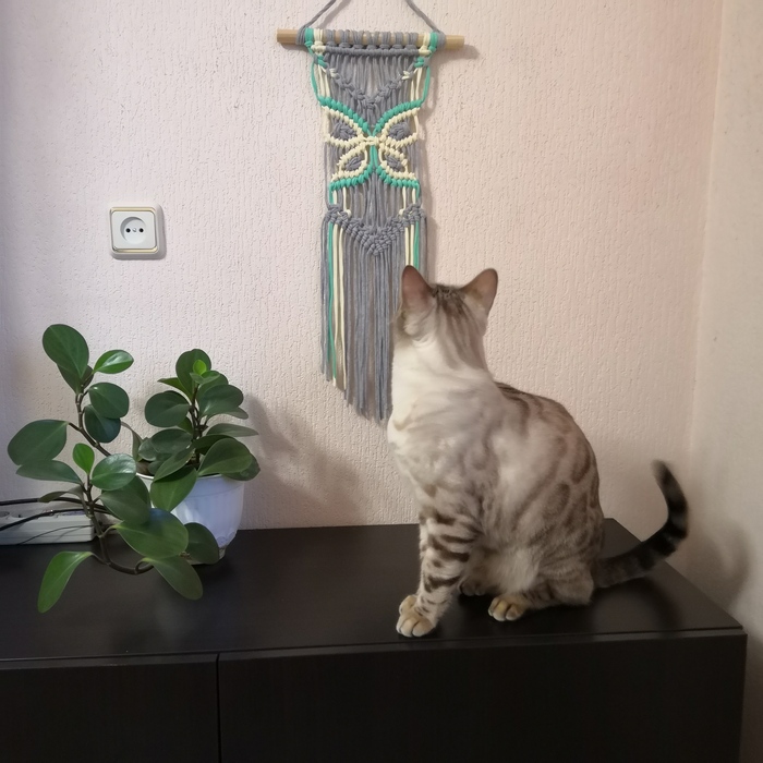 Нашел фото 2019 года с этой пеперомией на той самой тумбочке