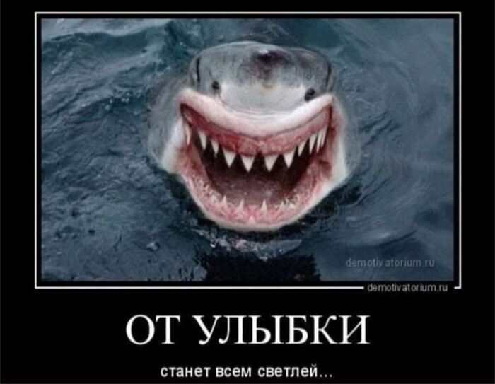 ,  ...