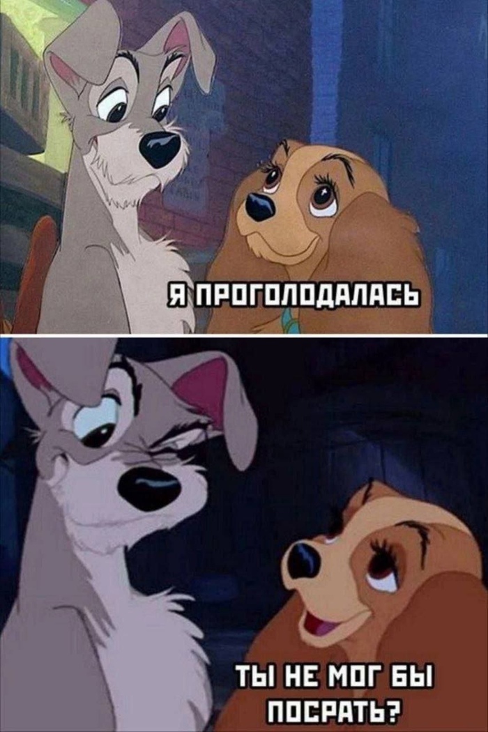 ,     ,  ,   ,   , 