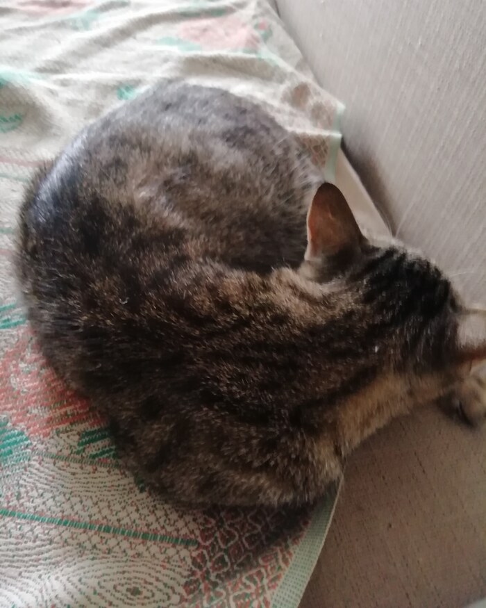 Решила поспать)