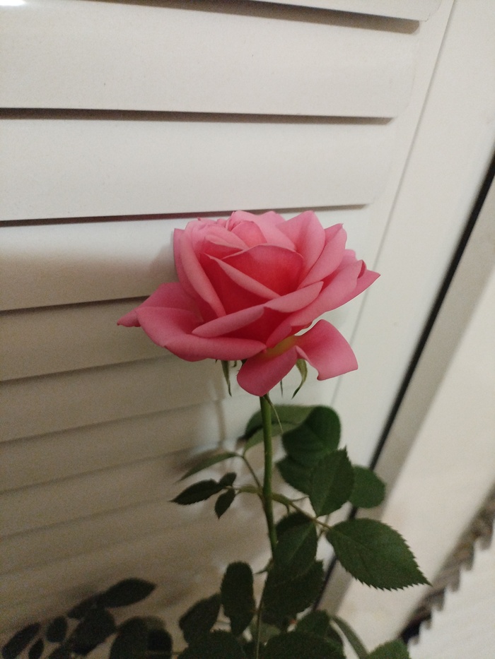 "   ..   ...     . "