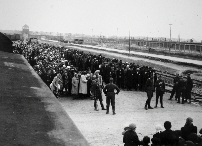   . .  3500     Konzentrationslager Auschwitz-Birkenau (KZ Auschwitz).   ,       ,     .