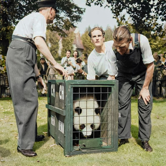 Любопытные фотографии из прошлого Великобритании. 20 раскрашенных фотографий ХХ века. Часть XIV Историческое фото, Старое фото, Фотография, Англия, Великобритания, Лондон, Шотландия, 20 век, Колоризация, Длиннопост