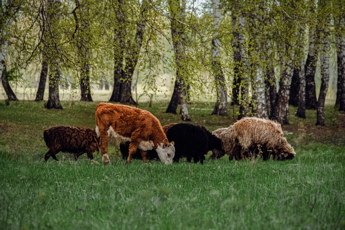 ������ � ������� �� ������.