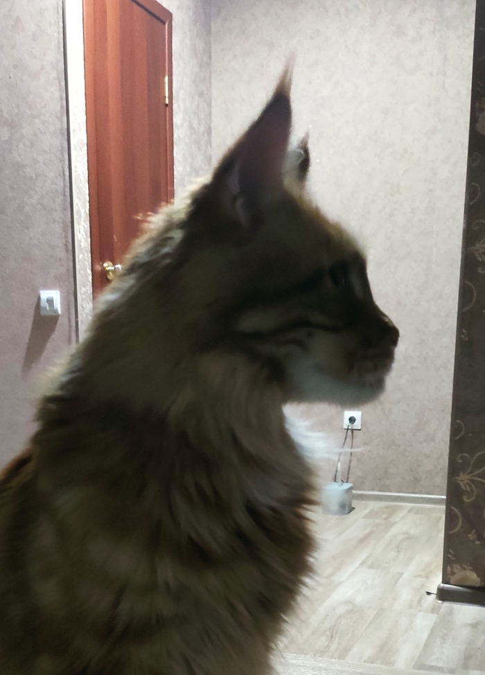 ����� ������ ����� ����� �����