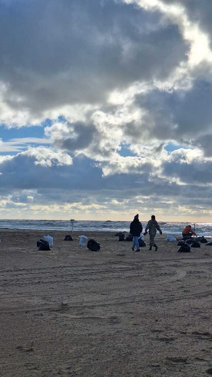 Response to the post Four thousand volunteers from all over Russia clean Anapa beach from fuel oil after tanker wreck near Taman - news, Russia, Anapa, Kerch Strait, Tanker, Fuel oil, Ecologists, Incident, Animal Rescue, Saving life, Volunteering, Society, Риа Новости, Vertical video, Birds, Ecology, Video, Reply to post, Longpost, A wave of posts