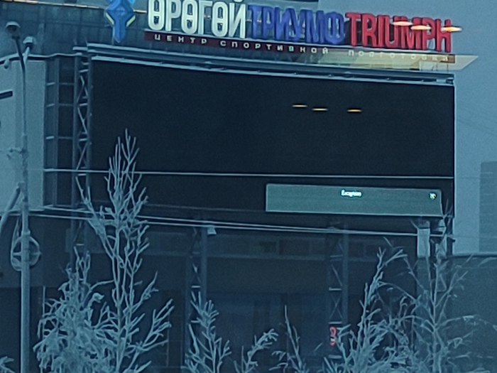 Пингвины тоже болеют