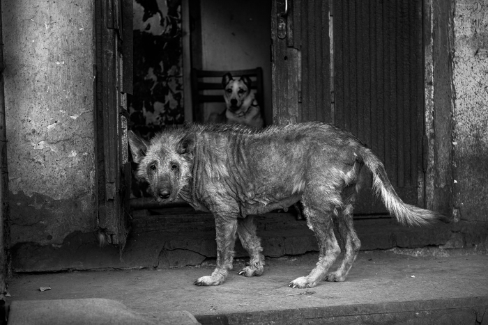 ����� ������ � ������� ��.