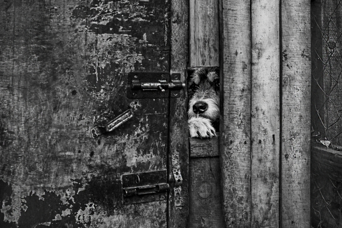 ���� ������.