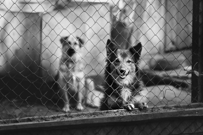 ������-�������