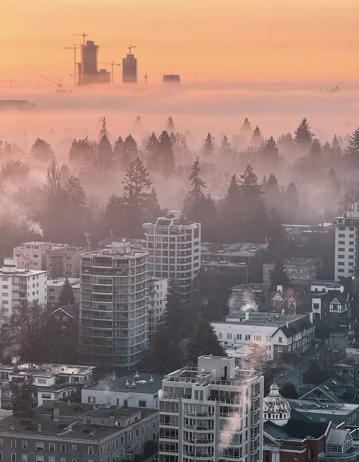 Foggy morning - My, The photo, Mobile photography, Photo on sneaker, Canada, Vancouver, Morning, Fog