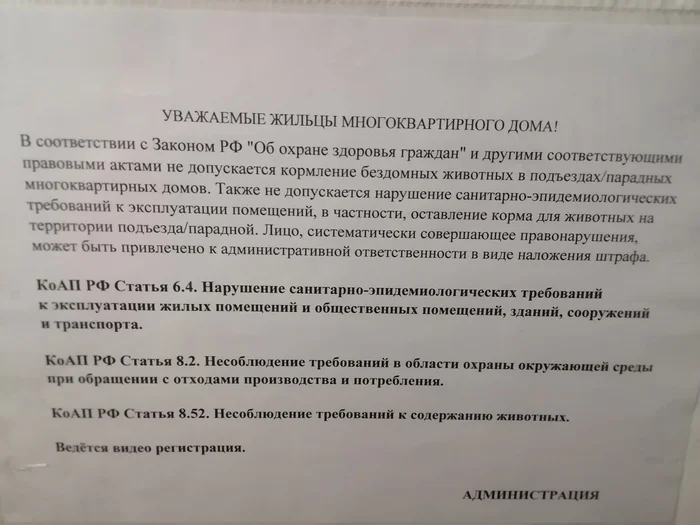 Оказывается с С-Пб уже начали борьбу с бродячими собаками(и не только) - Моё, Бродячие собаки, Закон, Санкт-Петербург