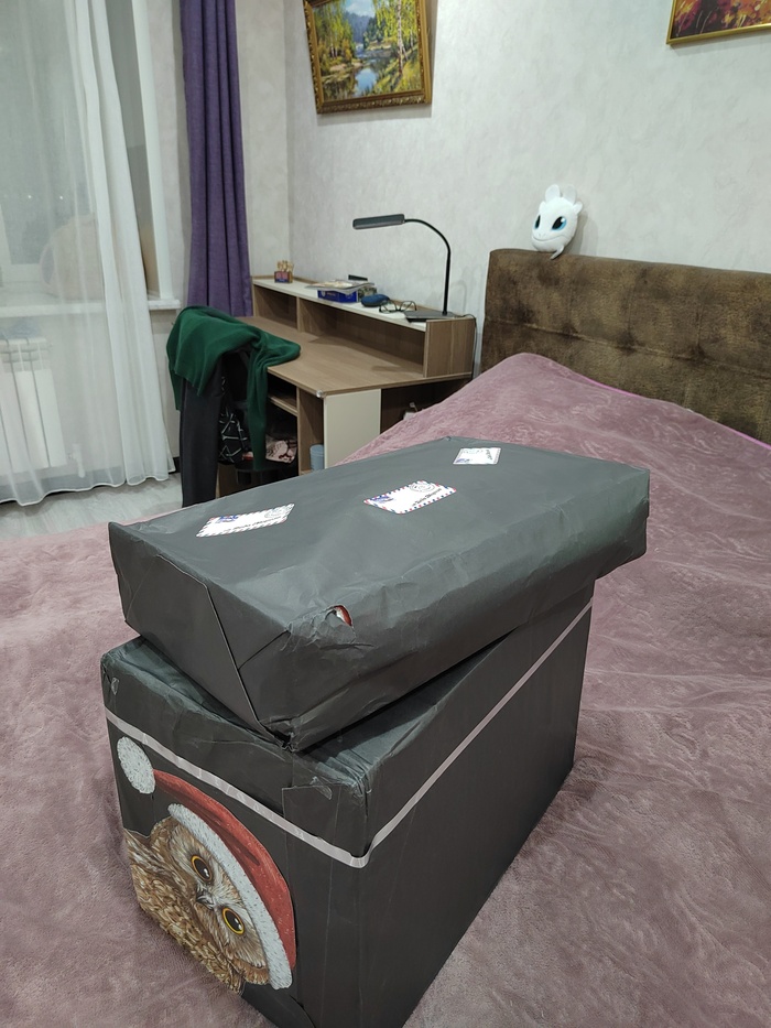 Два подарка один для меня, другой для кошки.