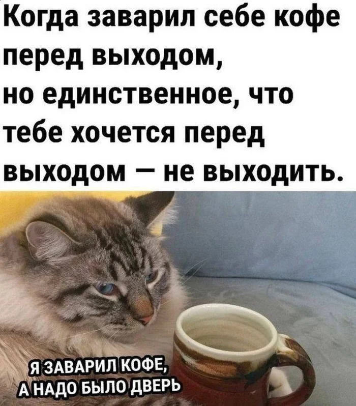 Ответ на пост «С Добрым утром!)...» - Обмен подарками, Доброе утро, Чай, Радость, Хорошее настроение, Любовь, Романтика, Ответ на пост, Картинка с текстом, Кот, Кофе, Дверь