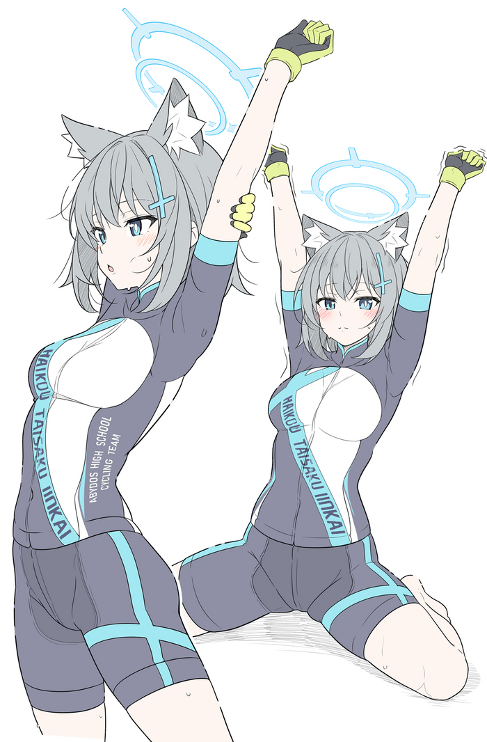 Shiroko Shiroko Anime Art, , Blue Archive, Sunaookami Shiroko, T1kosewad, Animal Ears,  