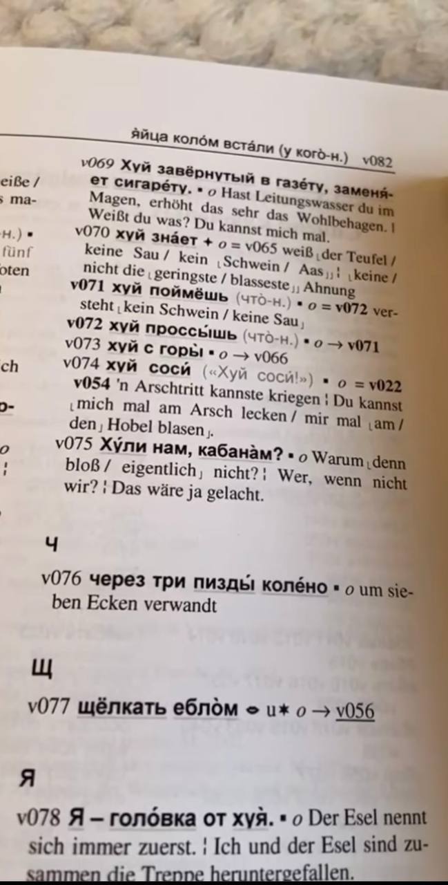 Russian-German phraseological dictionary shown online - Dictionary, German, Mat, Longpost