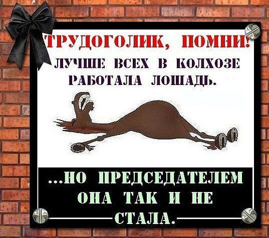 � ����� ���������)