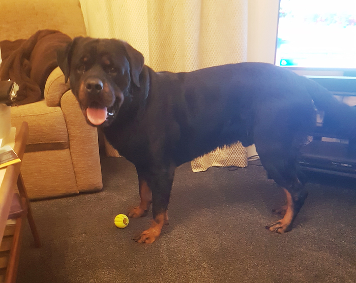 Сегодняшний улов.