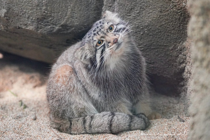 Дашь откусить?