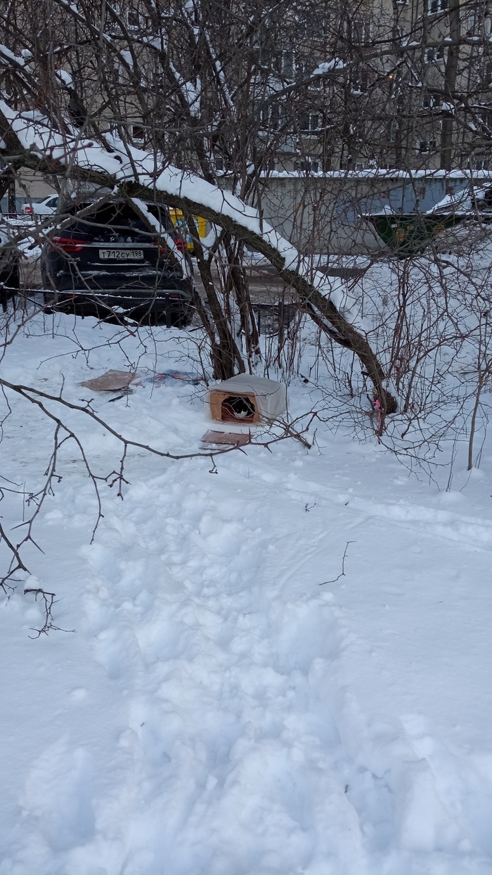   ,      .          .   ,             .      .    . 1