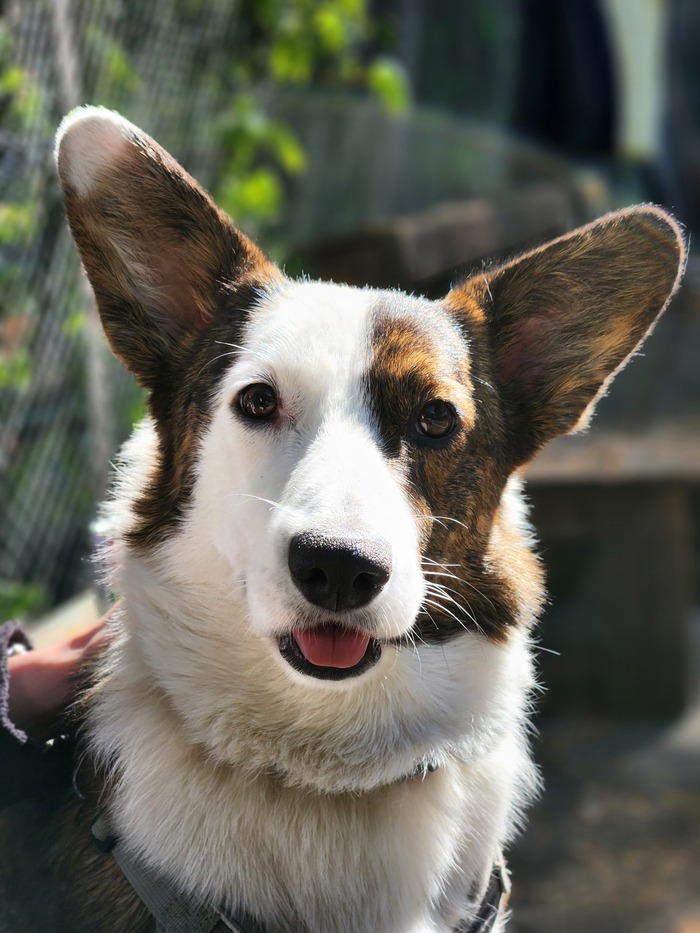 С наступающим новым годом!