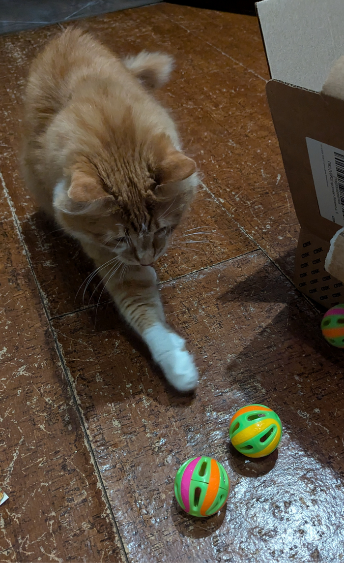   ,        (   ,        ))   -   , ,     :D