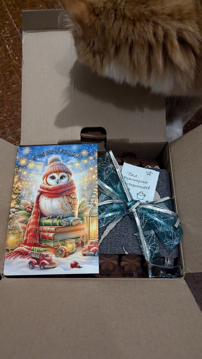 .         ,      . )