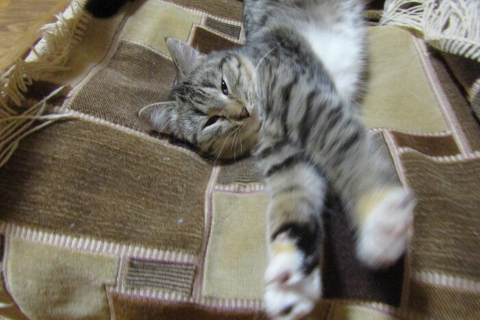 Доброе утро!