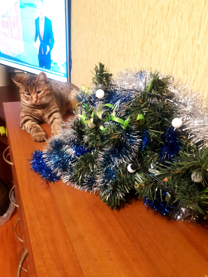 Я смирилась с решением Авроры на положение ёлки))