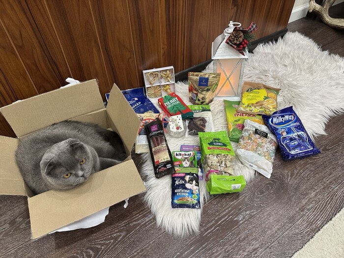  !     :      ,       .,   -).       -       ...