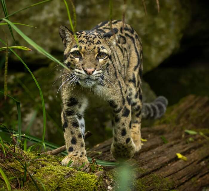 Где-то здесь мне оставили ужин