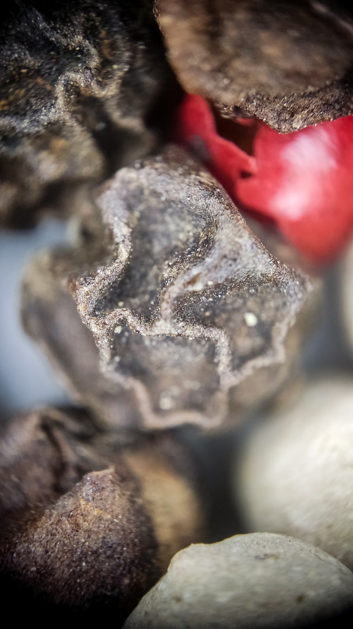 Черный сморщеный