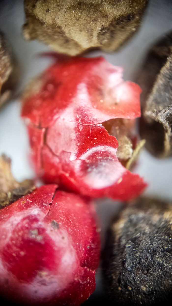 Еще яркие красные